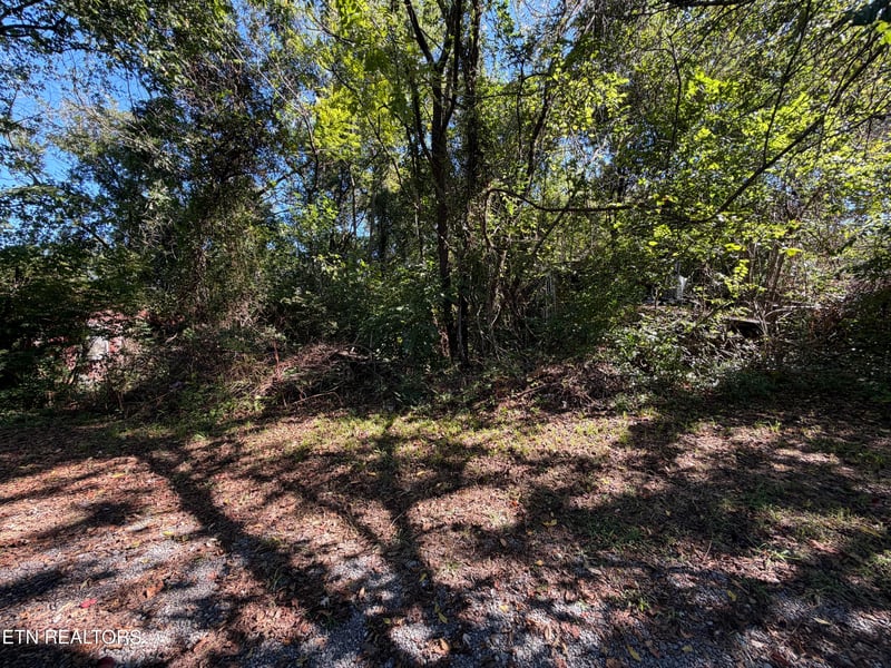 5204 Murphy Rd, Knoxville, TN 37918
