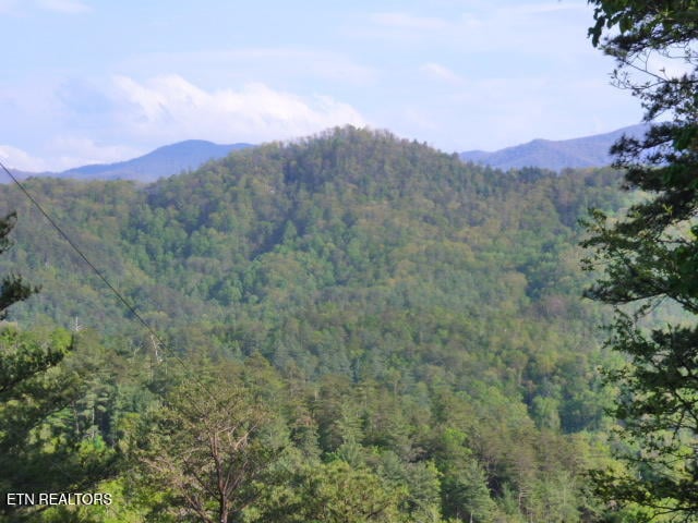 521 Domar Ct, Townsend, TN 37882