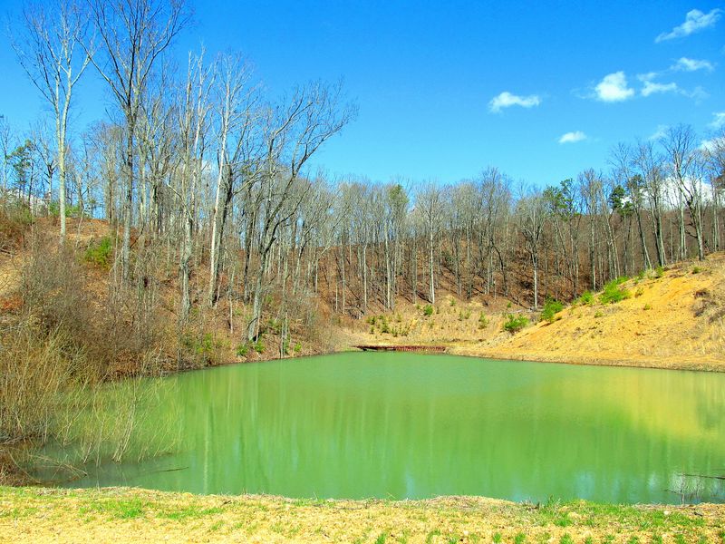 521 Eagle Point Dr, Rockwood, TN 37854