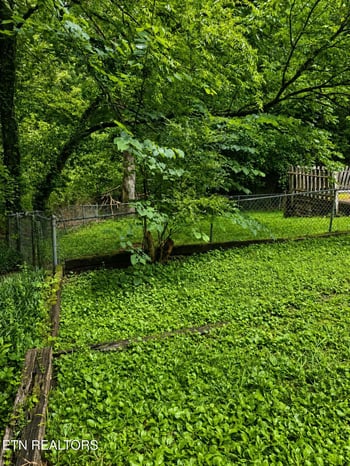 5212 Yorktown Rd, Knoxville, TN 37920