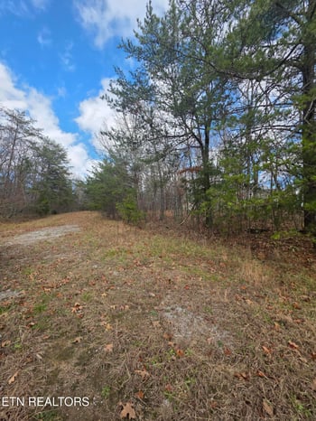 523 Lakeview Dr, Crossville, TN 38558