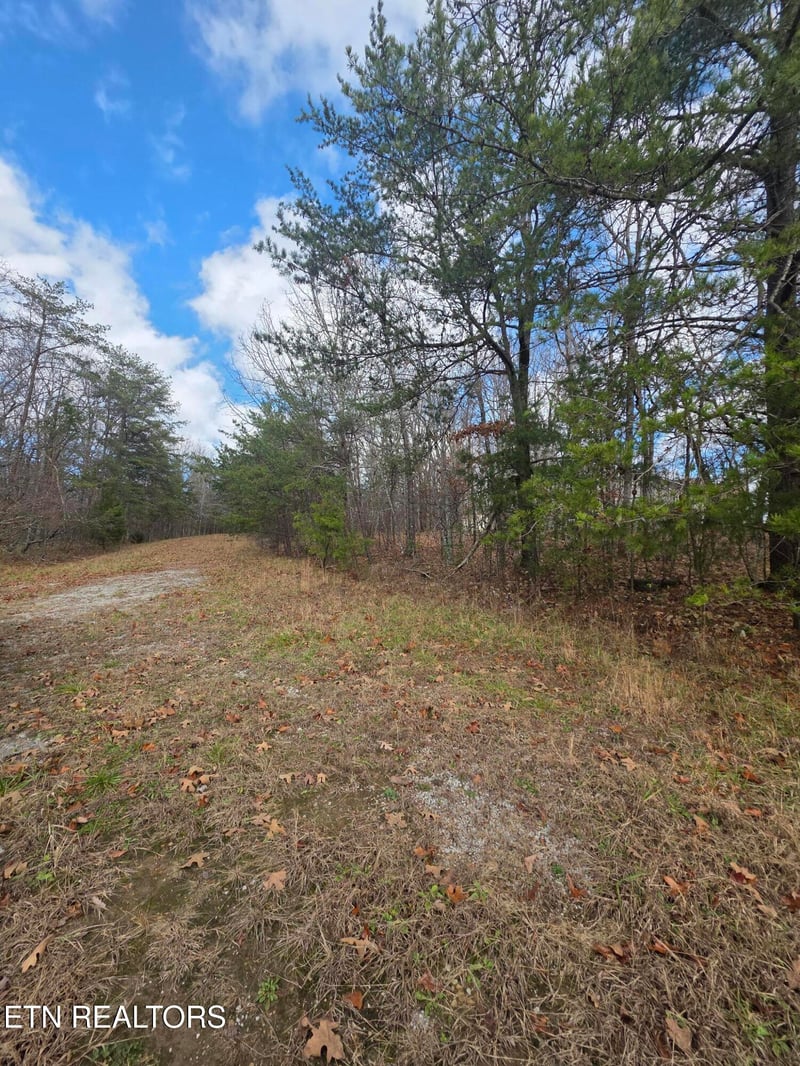 523 Lakeview Dr, Crossville, TN 38558