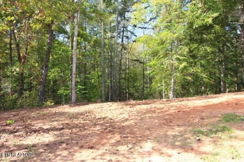 523 Rudd Hollow Rd, Townsend, TN 37882