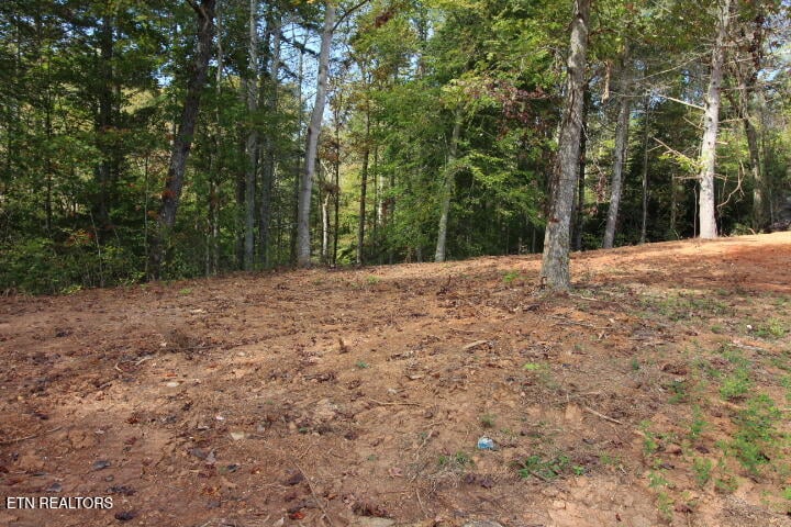 523 Rudd Hollow Rd, Townsend, TN 37882