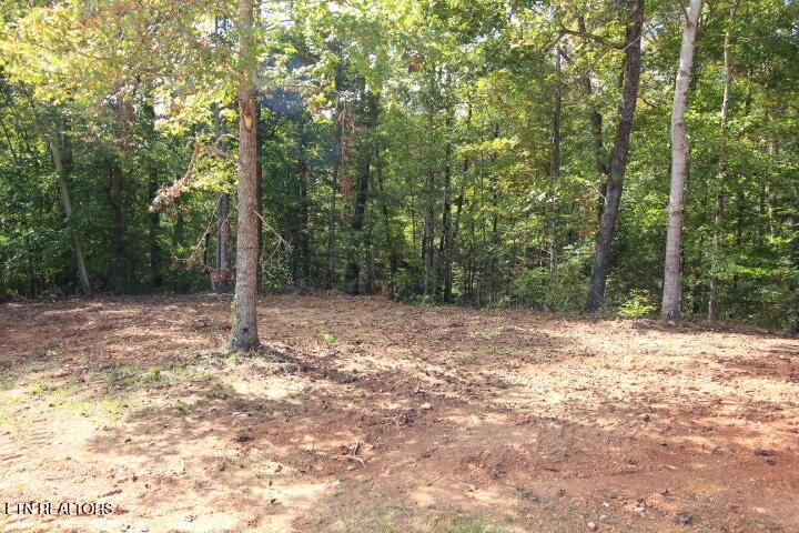 523 Rudd Hollow Rd, Townsend, TN 37882