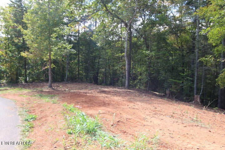 523 Rudd Hollow Rd, Townsend, TN 37882