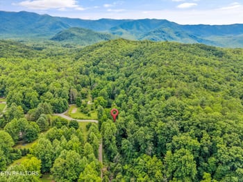 5236 Mathis Branch Rd, Cosby, TN 37722