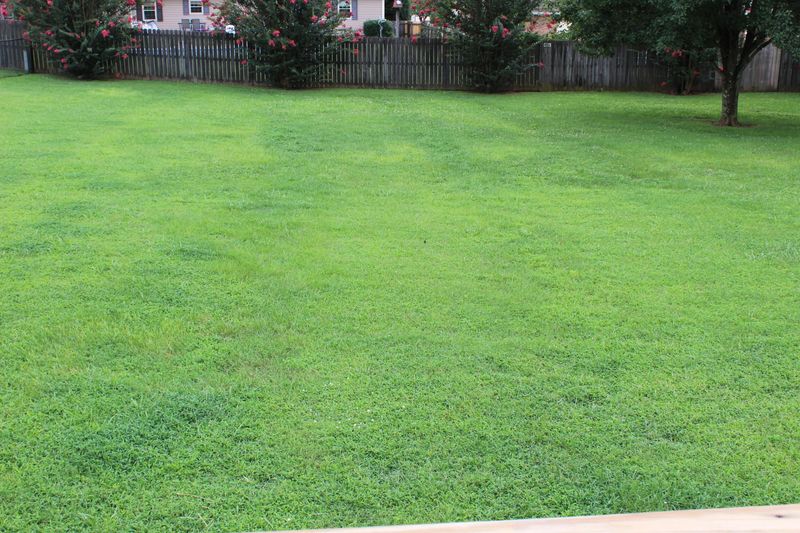 524 Calvin St, Kingston, TN 37763