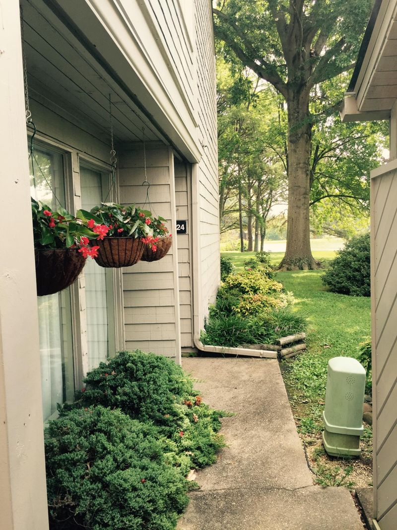 524 Lost Tree Ln, Knoxville, TN 37934