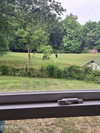 524 Park Rd, Caryville, TN 37714