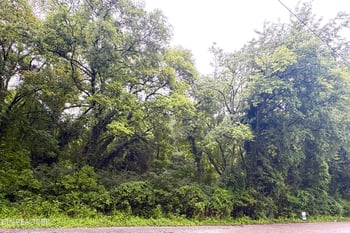 525 Kingwood Street St, Kingston, TN 37763