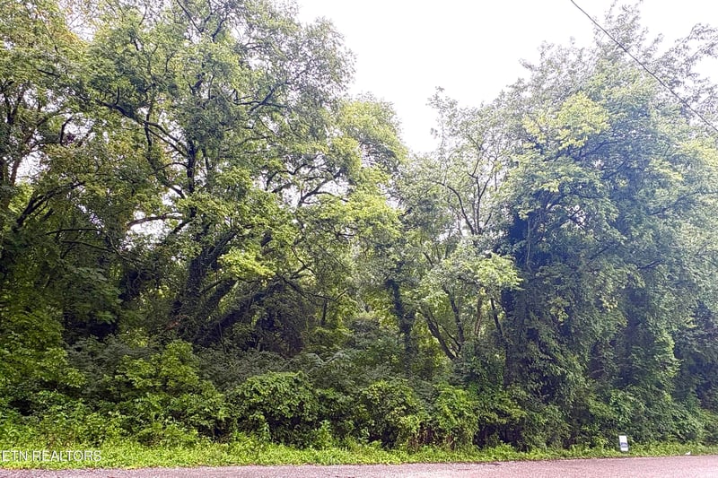 525 Kingwood Street St, Kingston, TN 37763