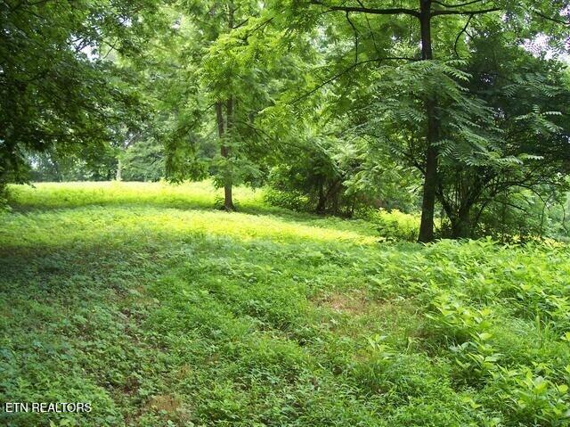 525 Kingwood Street St, Kingston, TN 37763