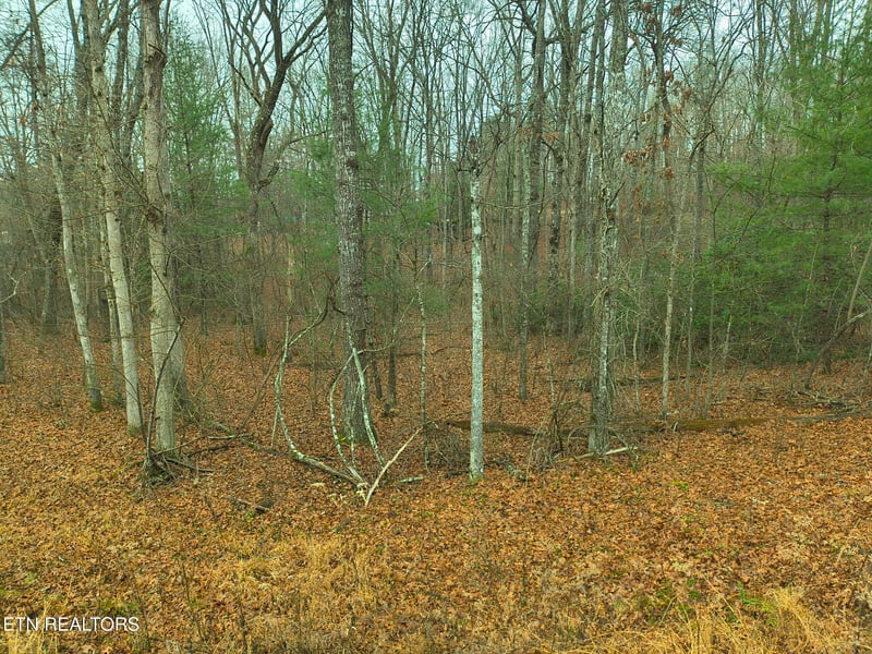 526 - 528 Tsala Dr, Crossville, TN 38572