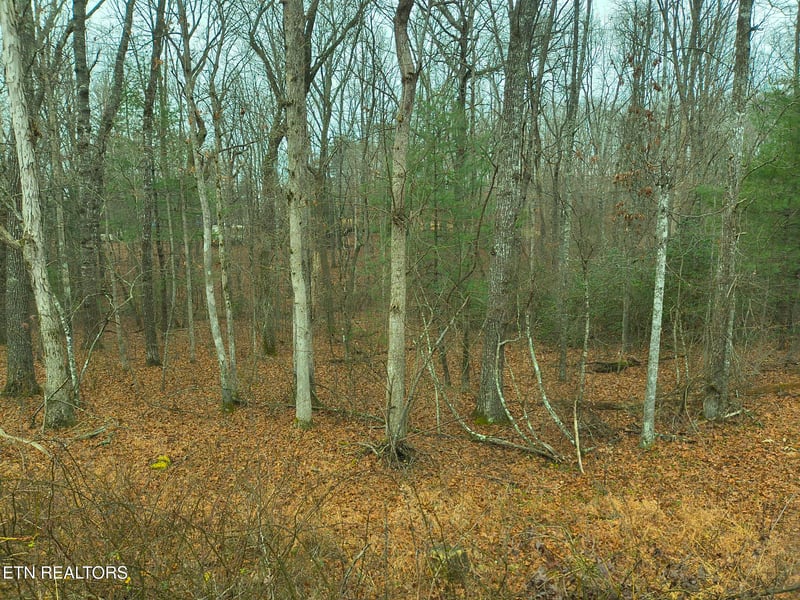 526 - 528 Tsala Dr, Crossville, TN 38572