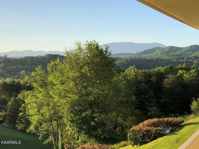 526 Briarcliff Way #204, Pigeon Forge, TN 37863