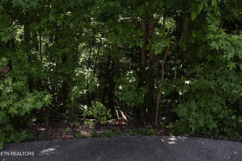 527 Enclave Way, Kingston, TN 37763