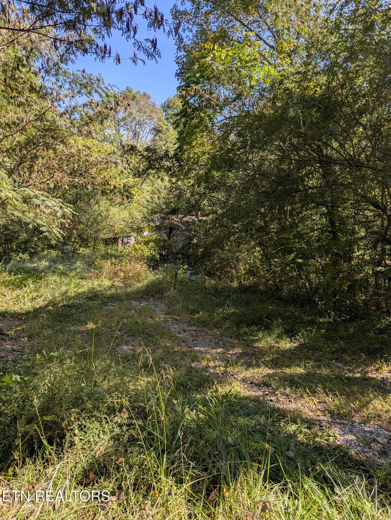 528 N 13th St, Lafollette, TN 37766