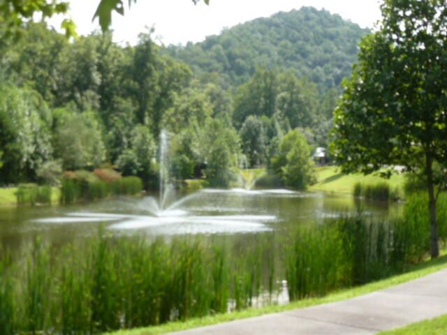 530 Kinzel Springs Way, Townsend, TN 37882
