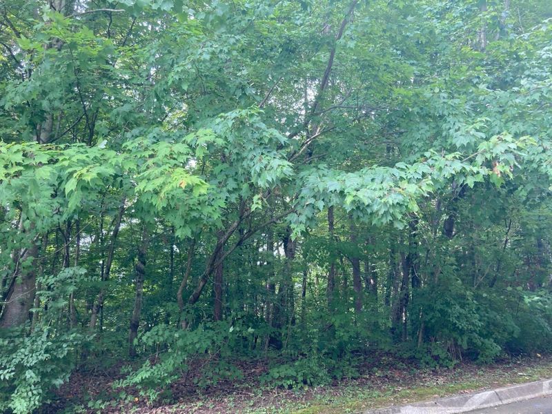 5304 Oak Glade Ln, Knoxville, TN 37918