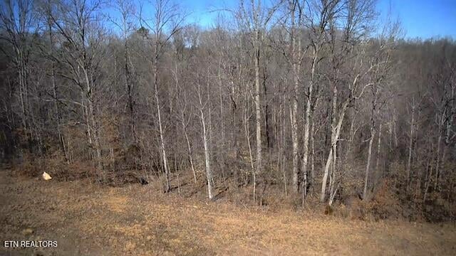 531 Cedar Gate Ln, Lafollette, TN 37766