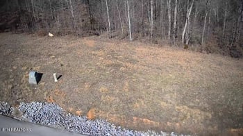 531 Cedar Gate Ln, Lafollette, TN 37766