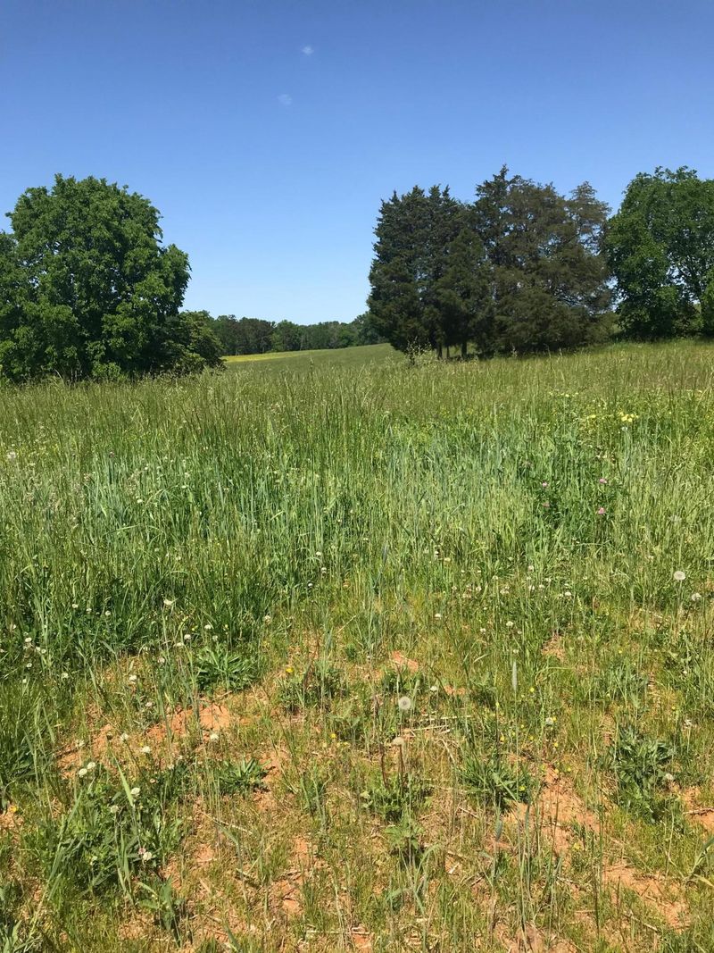 531 Secrist Springs Ln, Walland, TN 37886