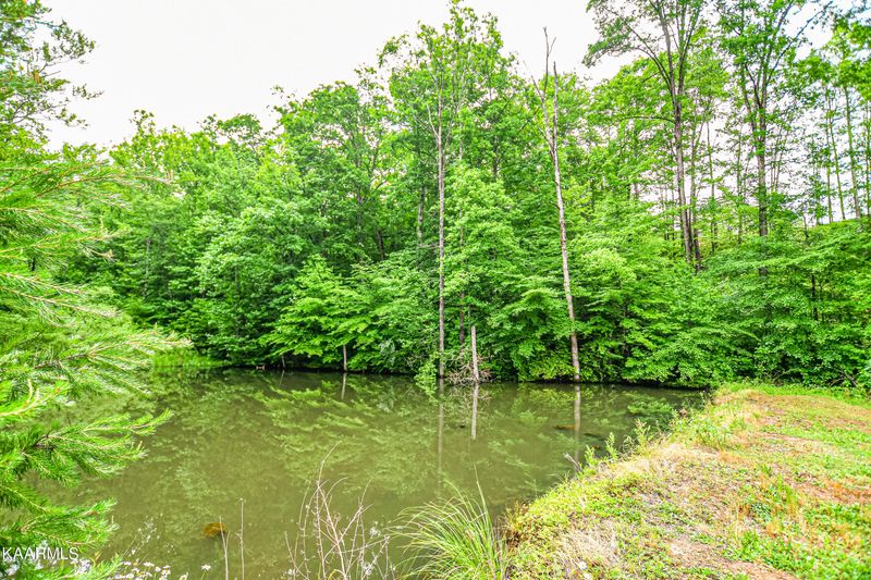 5314 White Oak Rd, Duff, TN 37729