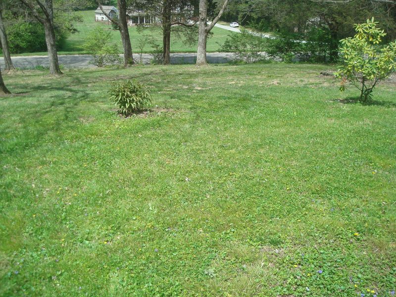5316 Carter Rd, Knoxville, TN 37918