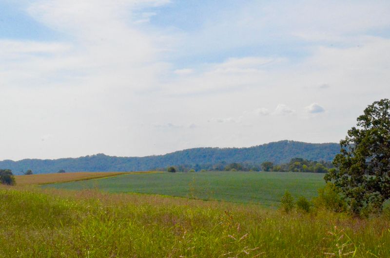 5335 Rodeo Ridge Ln, Seymour, TN 37865