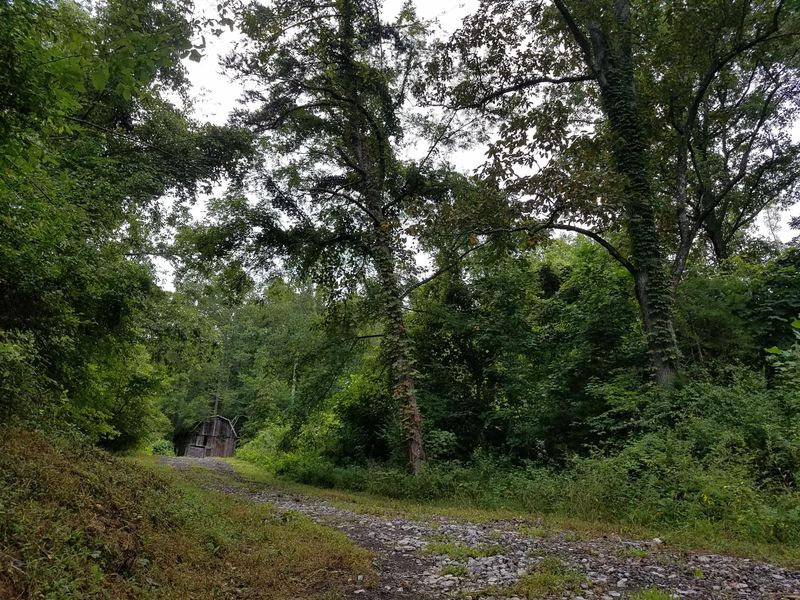 5338 Wolfenbarger Ln, Knoxville, TN 37938