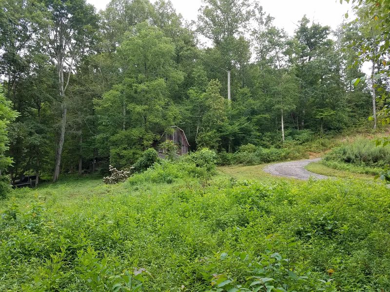 5338 Wolfenbarger Ln, Knoxville, TN 37938