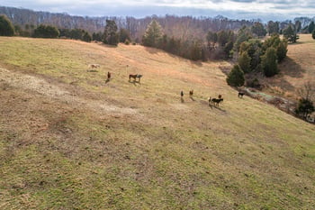 535 Dogwood Valley Rd, Kingston, TN 37763