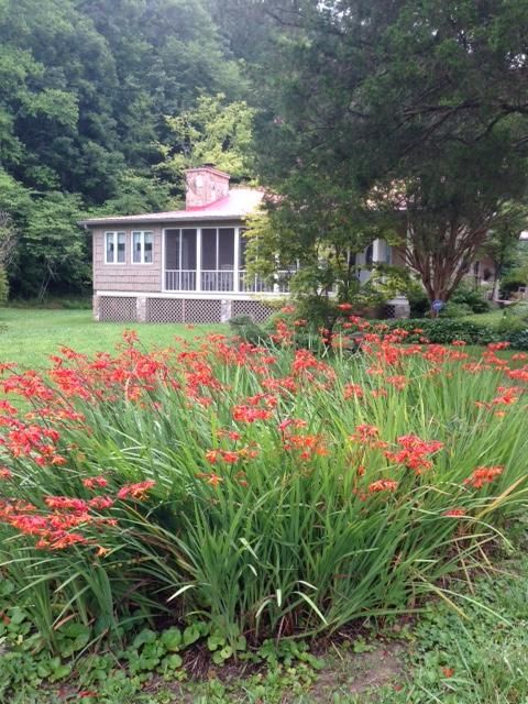 537 Pine Ridge Rd, Clinton, TN 37716