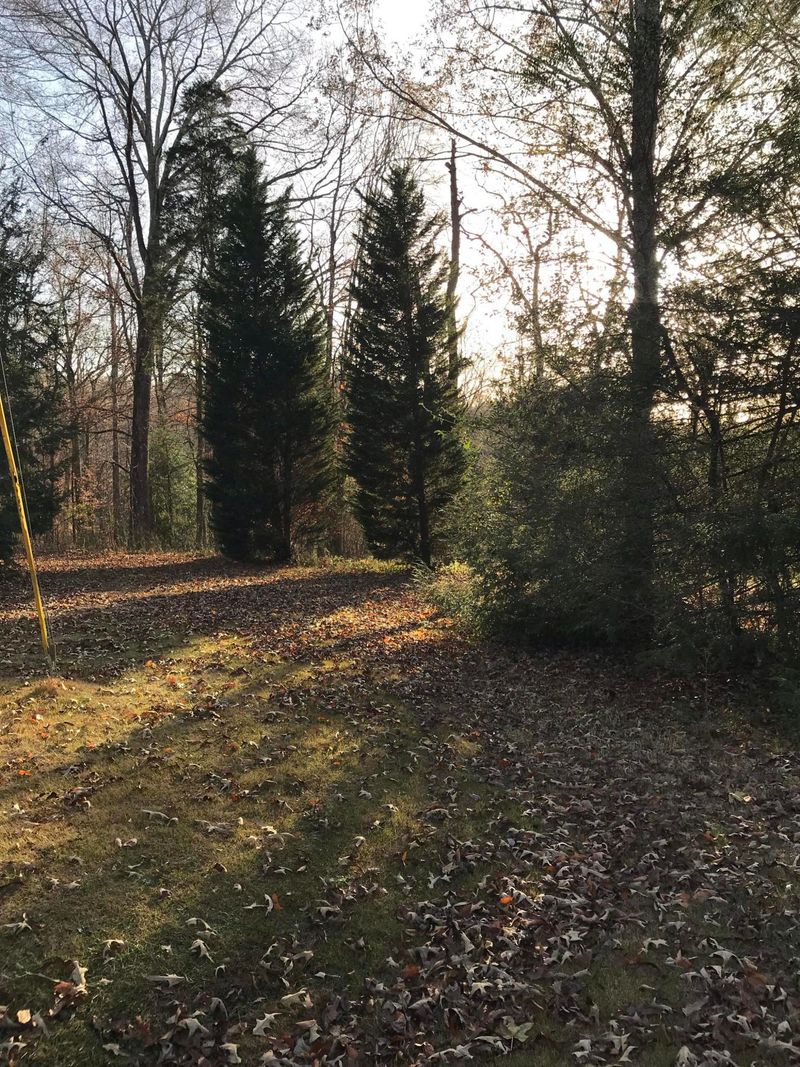 539 Bob White Dr, Loudon, TN 37774