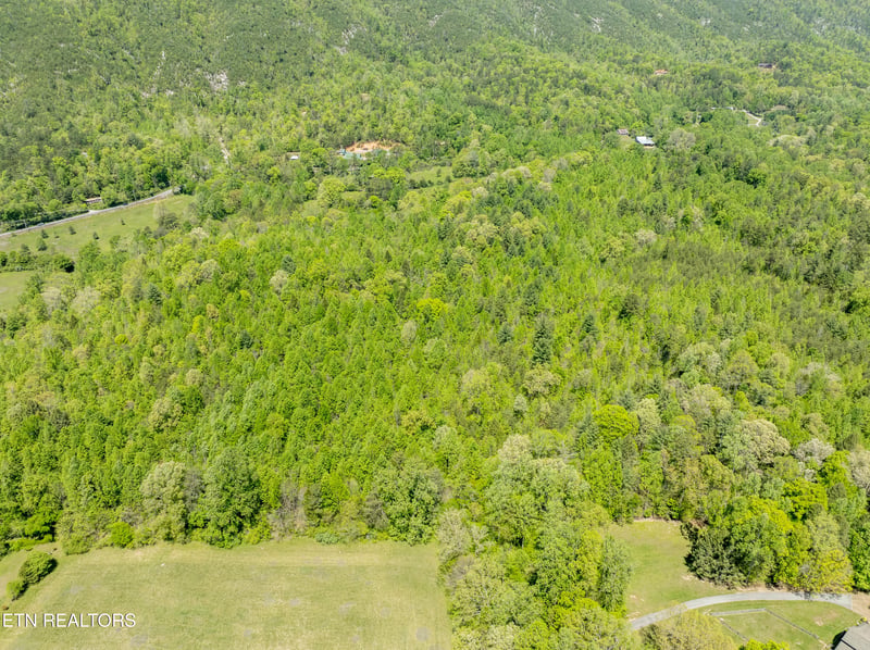 540 E Millers Cove Rd, Walland, TN 37886