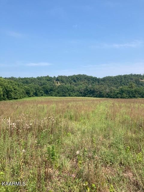 540 Henderson Rd #11, Pigeon Forge, TN 37863