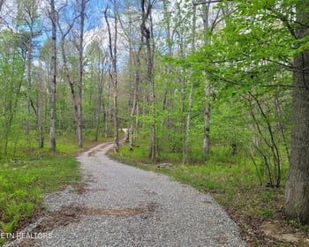 540 Leistner, Monterey, TN 38574