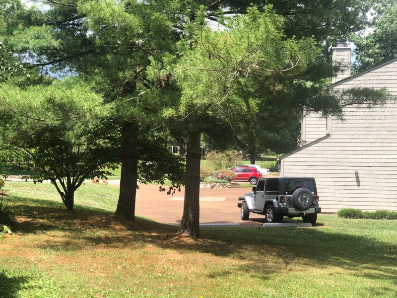 541 Lost Tree Ln, Farragut, TN 37934
