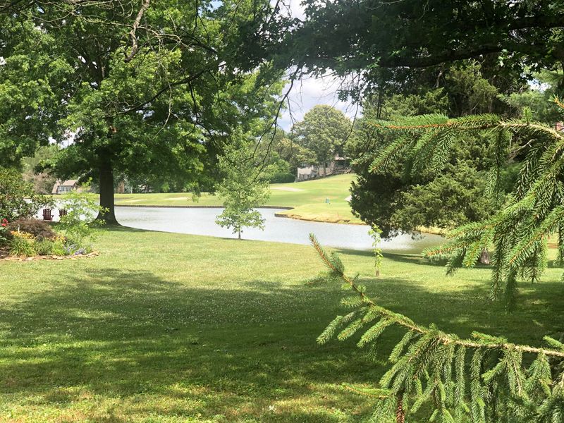 541 Lost Tree Ln, Farragut, TN 37934