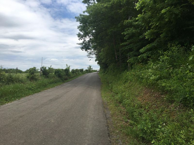 542 County Road 783, Etowah, TN 37331