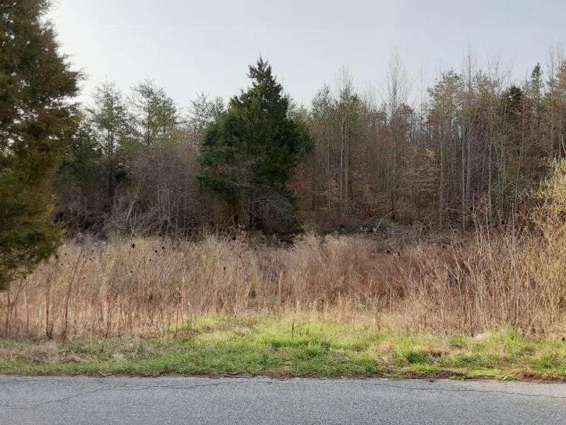 544 Curtis Rd, Tellico Plains, TN 37385