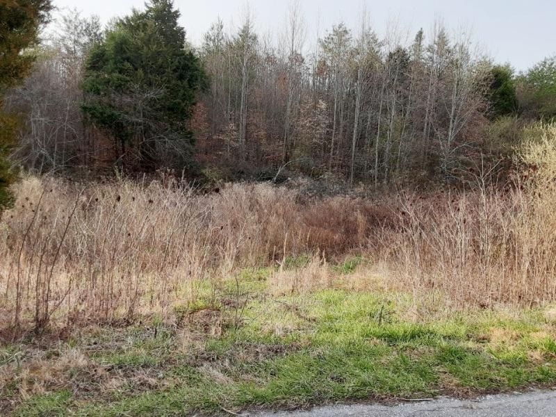 544 Curtis Rd, Tellico Plains, TN 37385