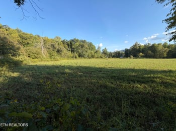 5441 White Oak Rd, Duff, TN 37729