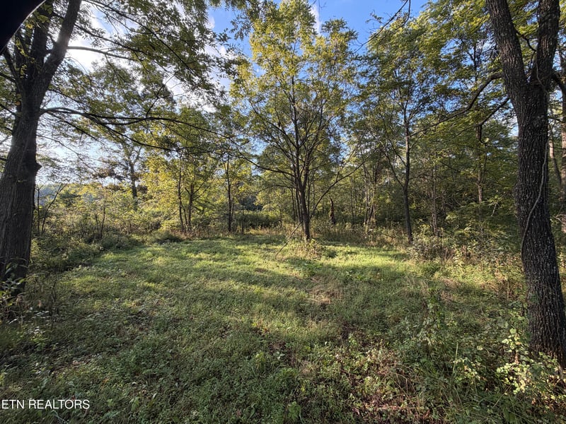 5441 White Oak Rd, Duff, TN 37729