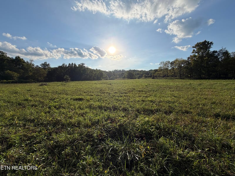 5441 White Oak Rd, Duff, TN 37729