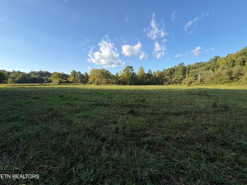 5441 White Oak Rd, Duff, TN 37729