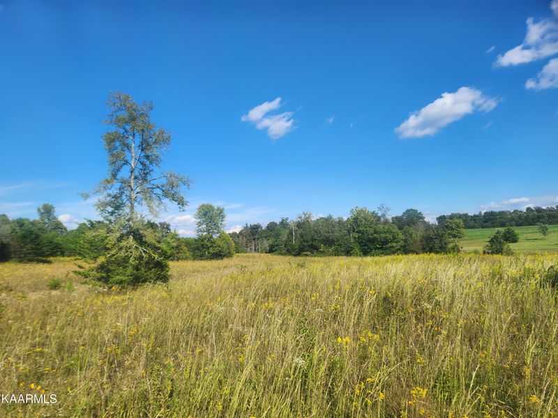545 County Rd, Englewood, TN 37329