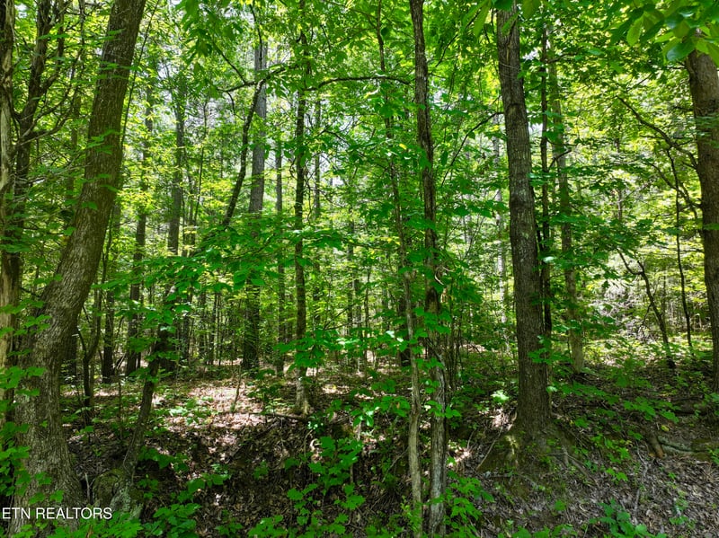 545 Ridge Rd, Madisonville, TN 37354