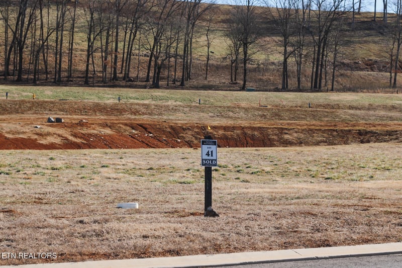 546 Black Bear Cir, Loudon, TN 37774